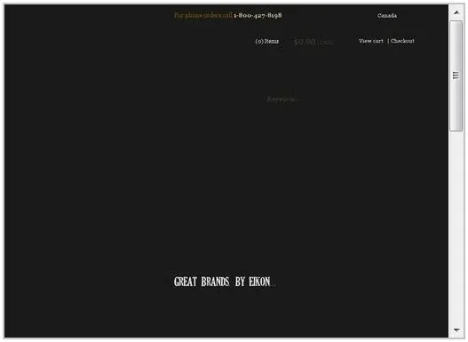Eikon Before | Unblock you JavaScript & CSS