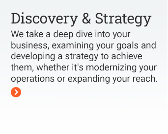 Discovery & Strategy