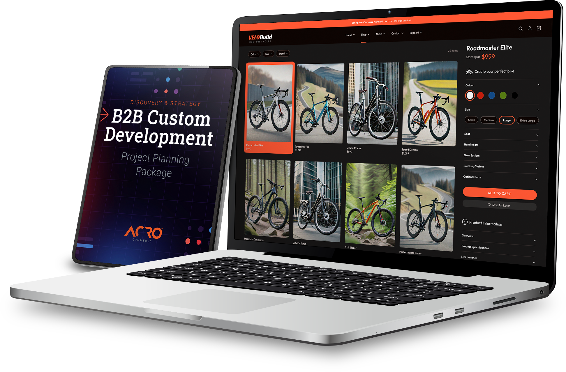 Custom Development Project Planning Package