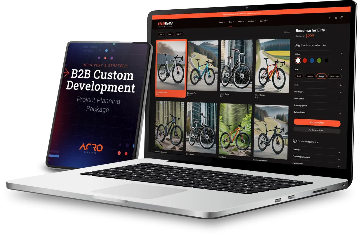 Custom Development Project Planning Package