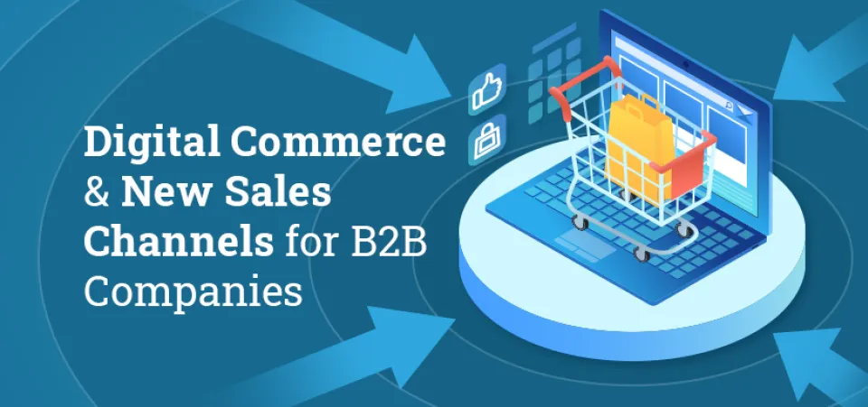 Digital Commerce & New Sales Channels for B2B Companies