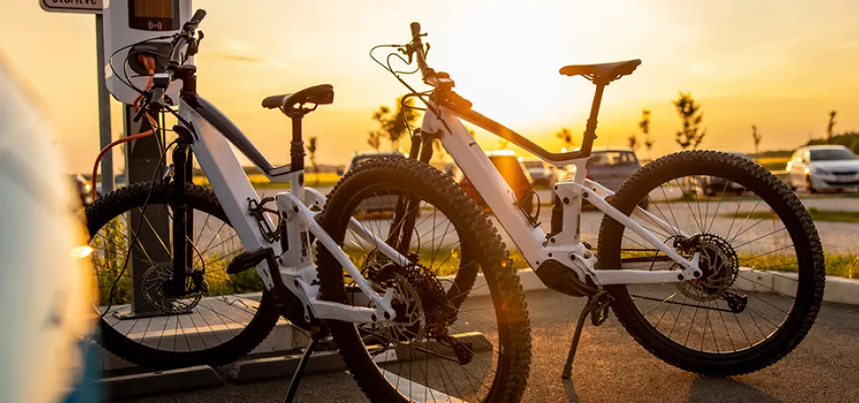 Digital Transformation in Action: Wattgives Inc. - A mostly true story of direct-to-market digital transformation | Article | Acro Media