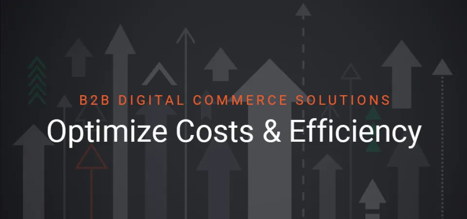 B2B digital commerce solutions optimize costs & efficiency | Acro Commerce