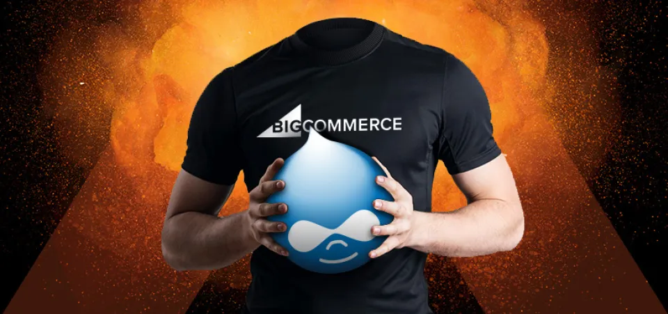 Using Drupal for Headless Ecommerce Customer Experiences | Acro Commerce