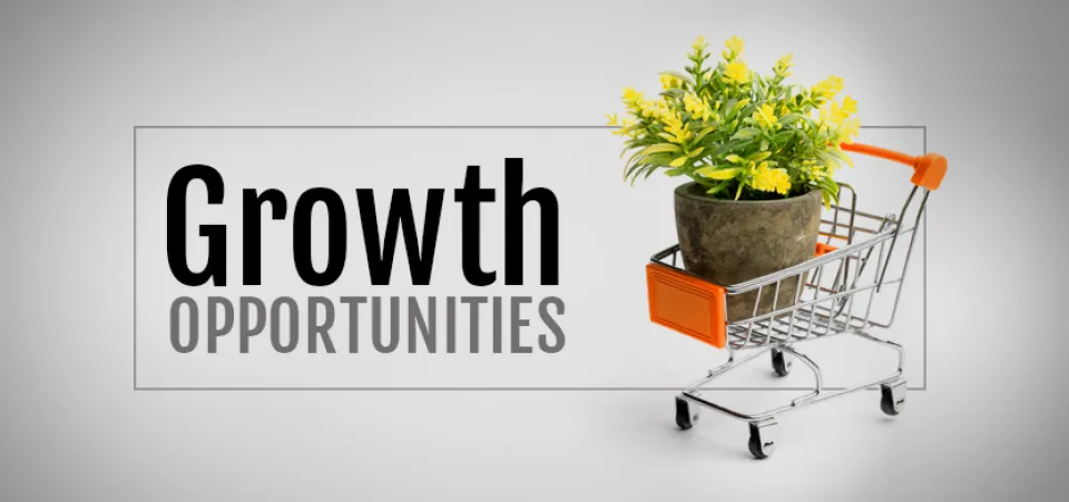 Identify growth opportunities with an ecommerce consultant | Acro Commerce