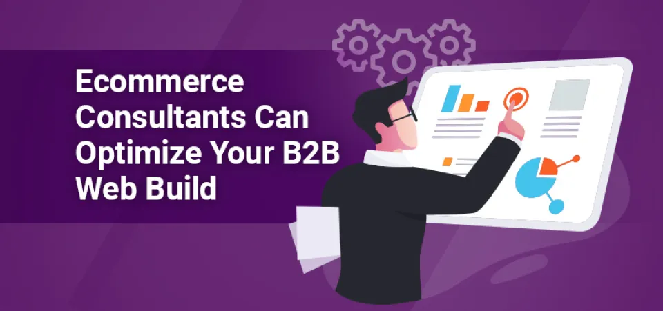 How an Ecommerce Consultant Can Optimize B2B Web Builds | Acro Commerce