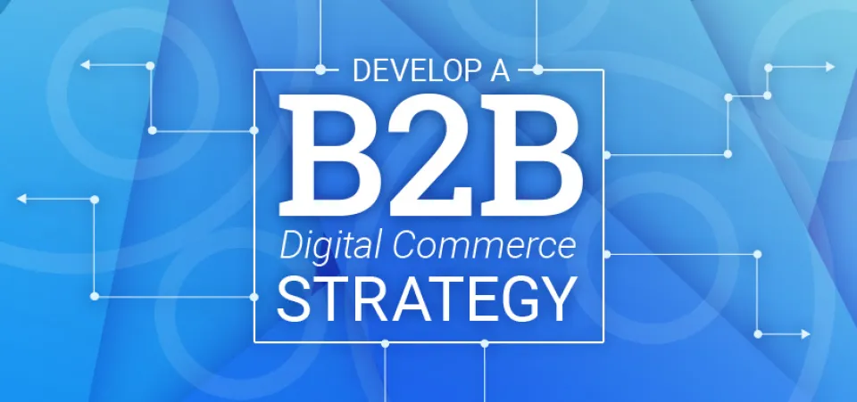 How to Develop a B2B Digital Commerce Strategy | Acro Commerce