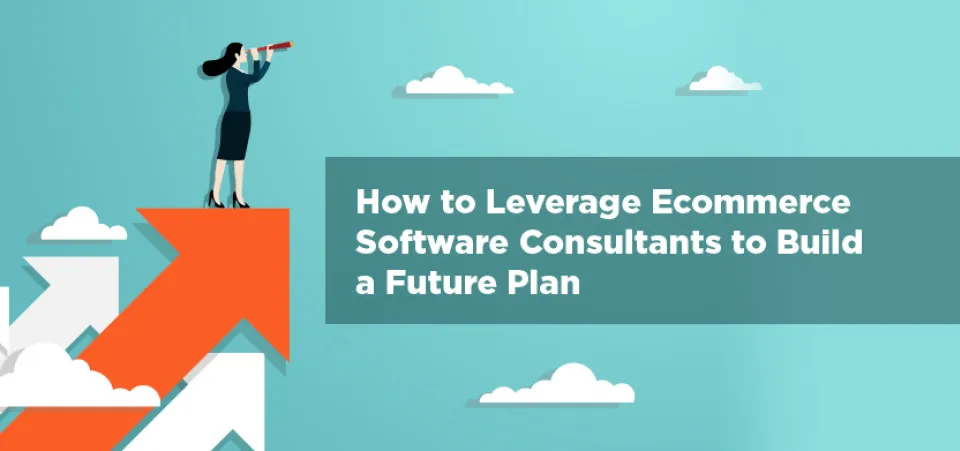 Leveraging Digital Commerce Consultants To Build For The Future | Acro Commerce