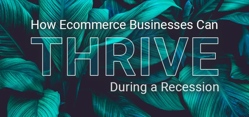 How ecommerce businesses can thrive during a recession | Acro Commerce