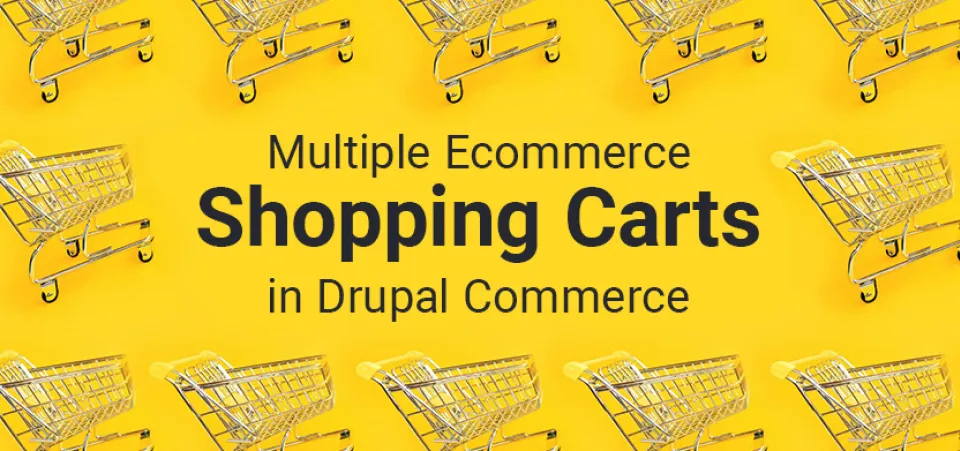 Multiple ecommerce shopping carts in Drupal Commerce | Acro Commerce